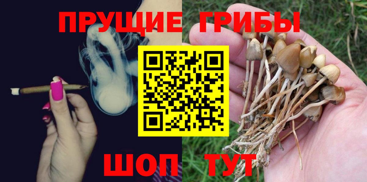 Галлюциногенные грибы мицелий  Галлюциногенные грибы MAGIC MUSHROOMS  Спасск-Дальний  Вход с VPN 